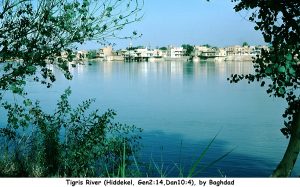 Tigris River, by Baghdad