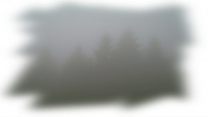 silhouettes-in-mist2.jpg