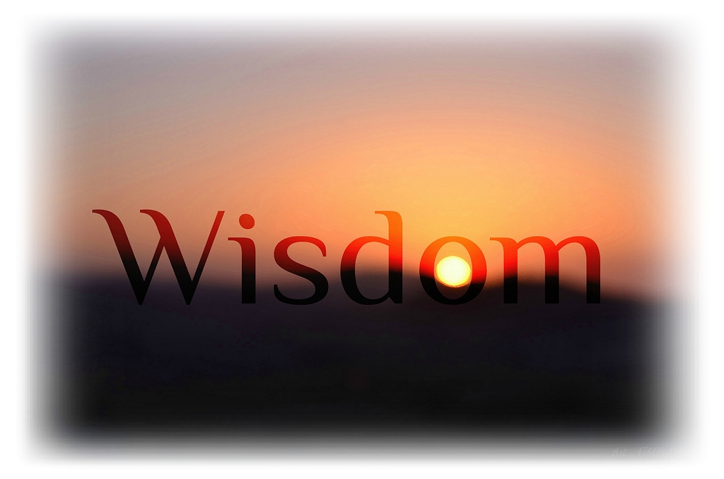 Wisdom Is Restoring The House Of God