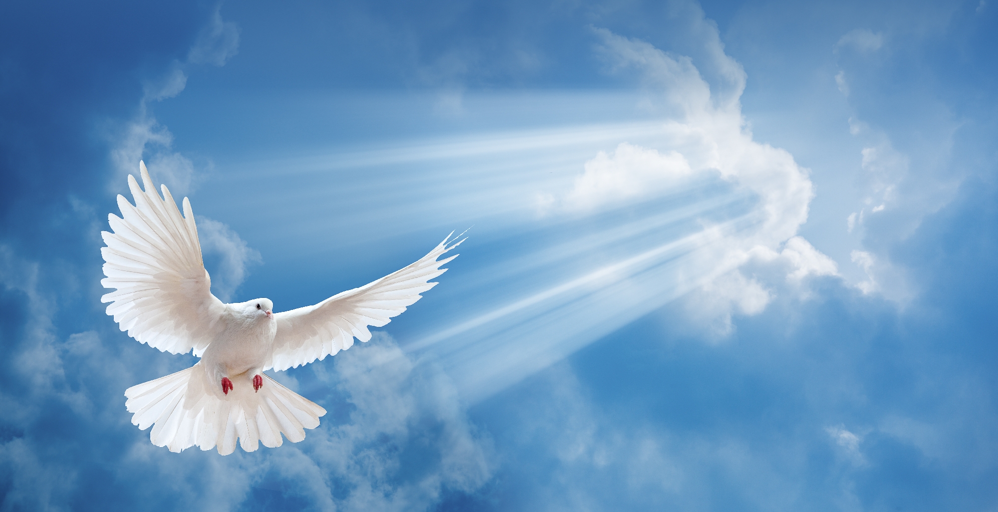 He Is Our Peace | Reconciled And Close To God | Video
