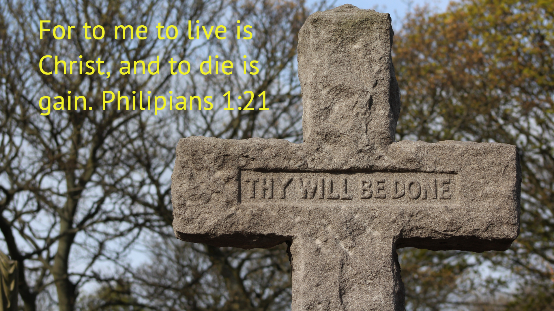Why We Struggle With Obedience | To Live Is Christ | Video