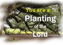 The Planting Of The Lord