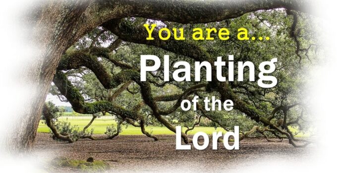 The Planting Of The Lord