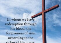 Forgiveness Always Brings Us Back To The Cross
