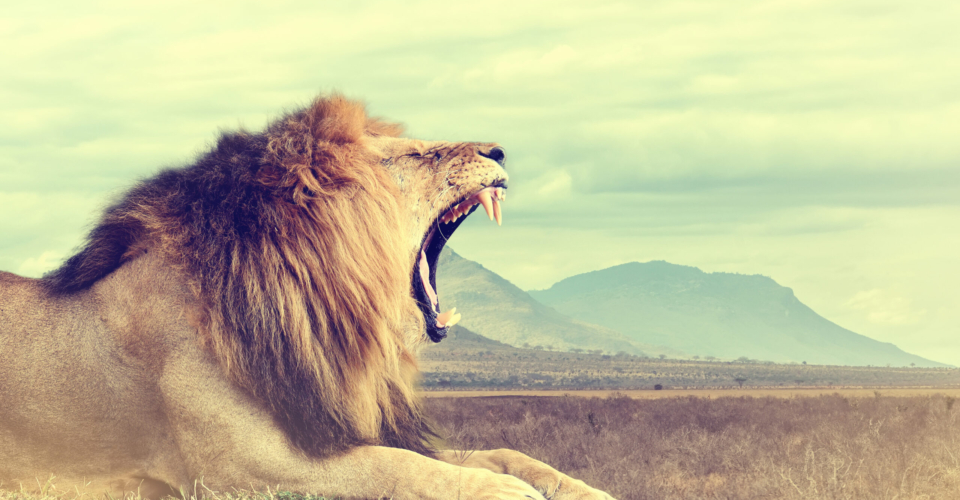 200607DANNY Attaining Full Salvation By Overcoming