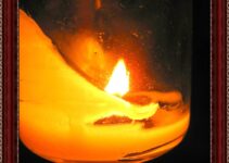 The Removal Of The World From Our Hearts