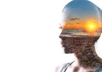 Liberally And Without Reproach