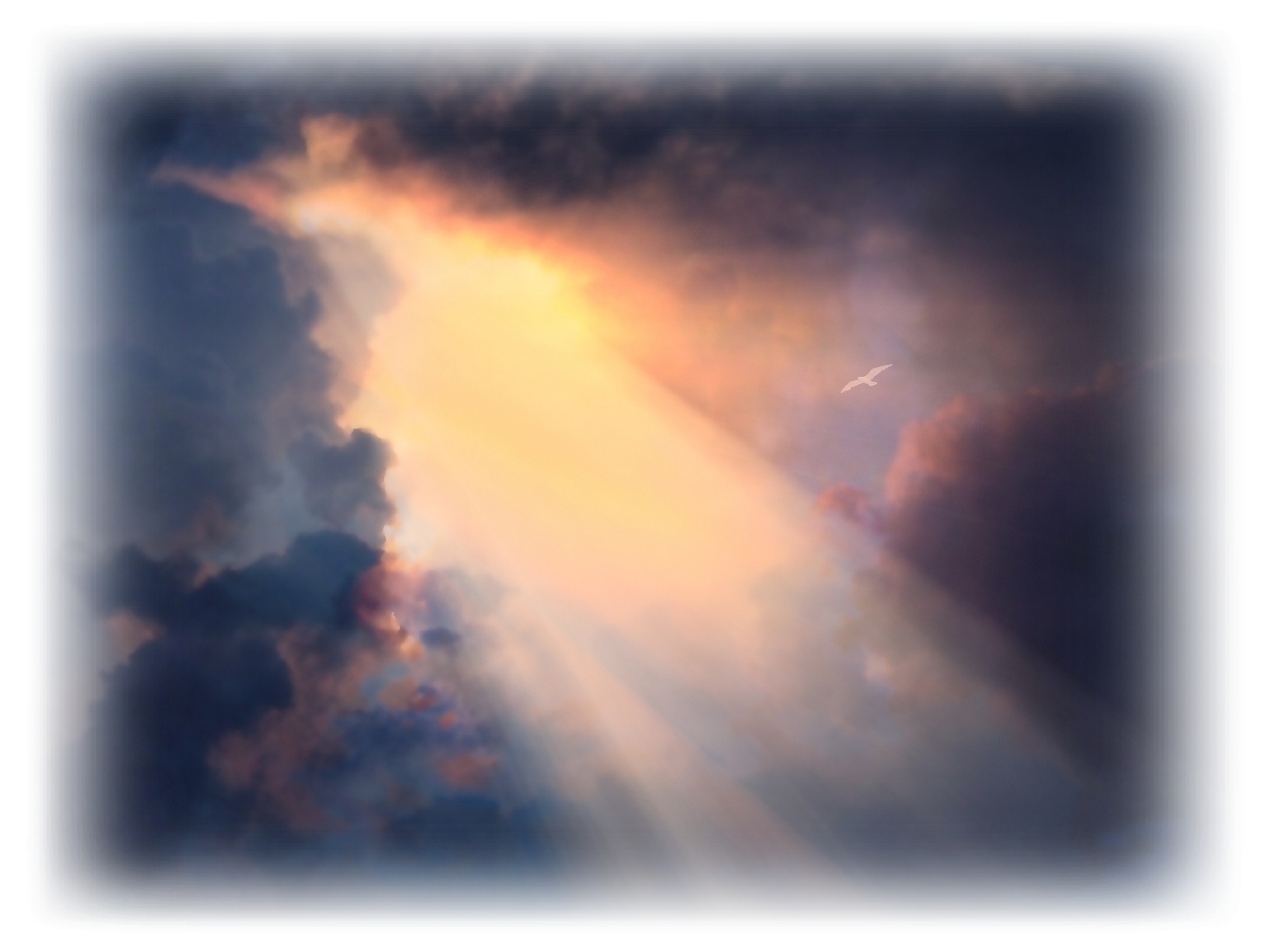 Let The Light Shine